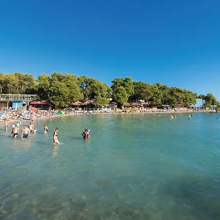 Apartment 2 Bedroom Pet Friendly In Biograd *