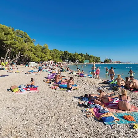 Apartment 2 Bedroom Pet Friendly In Biograd *